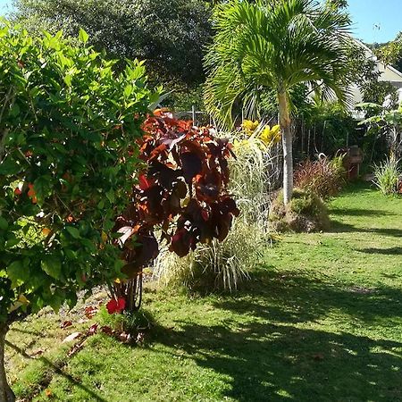 Appartamento cocon caraibe Sainte-Anne  Esterno foto